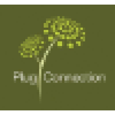 PLUG CONNECTION, LLC