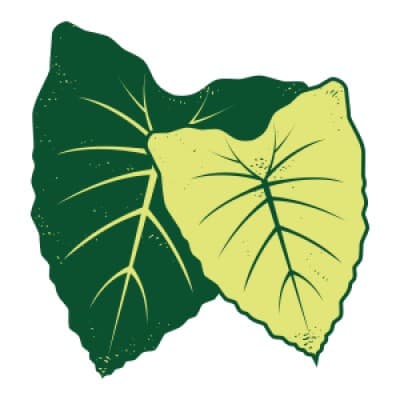 PARTNERS IN DEVELOPMENT FOUNDATION