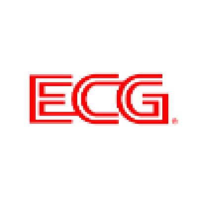 ECG logo image
