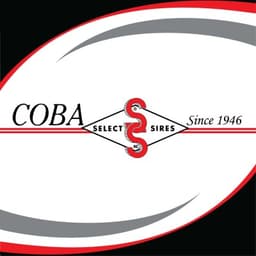 COBA/SELECT SIRES INC.