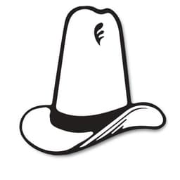 SCHLOSSMANN AUTOMOTIVE GROUP, INC.