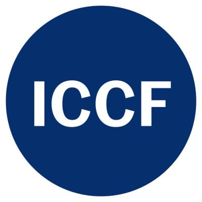 INSURANCE CONSULTANTS - ORLANDO, FL