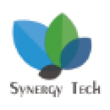 SYNERGY55 LLC