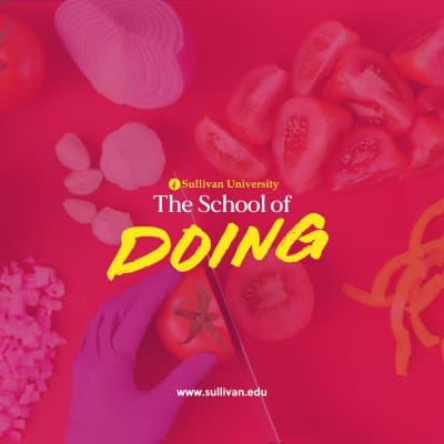 THE SULLIVAN UNIVERSITY SYSTEM, INC.