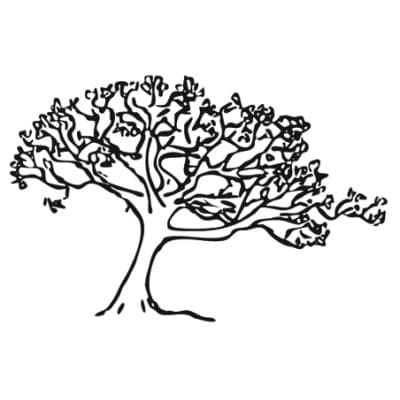 SILVER MAPLE CONSTRUCTION, LLC