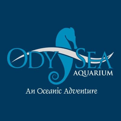 ODYSEA AQUARIUM, LLC