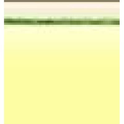 GOLDEN RULE SERVICES