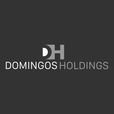 DOMINGOS HOLDINGS LLC