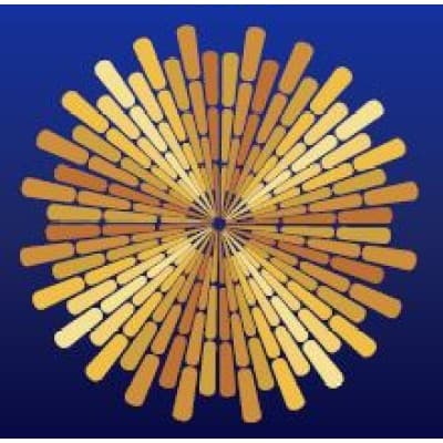 RADIATION ONCOLOGY ASSOCIATES, PC