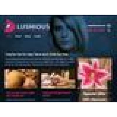 EXQUISITE CAR RENTALS LLC