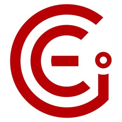 THE CEI GROUP, INC.