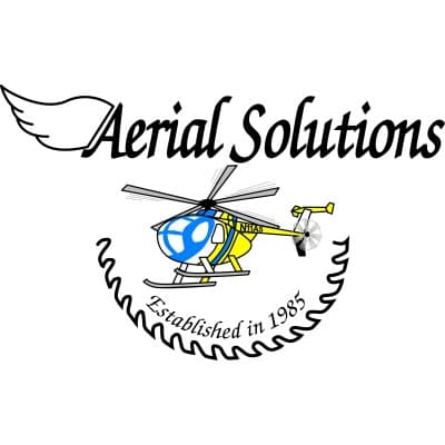 AERIAL SOLUTIONS INC