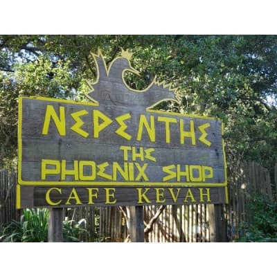 NEPENTHE/PHOENIX CORPORATION