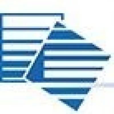 BLUE CHIP TRANSPORTATION INC