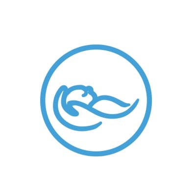 PHOENIX TECHNOLOGY GROUP