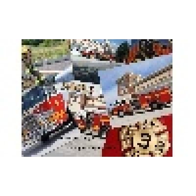 PAOLI FIRE COMPANY logo image