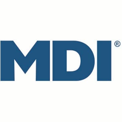 MDI GOVERNMENT SERVICES, INC.