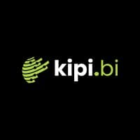 KIPI.BI LLC logo image