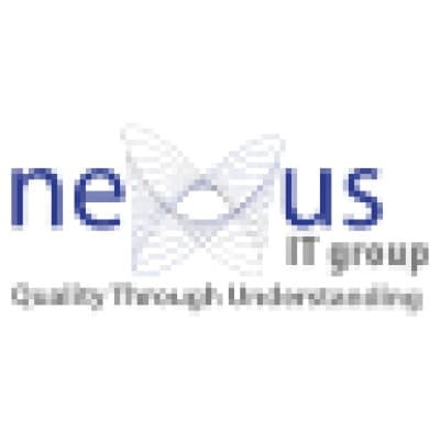 NEXUS IT GROUP INC