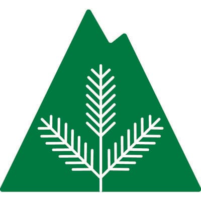 STEPHEN PAYNE MD, P.C. logo image