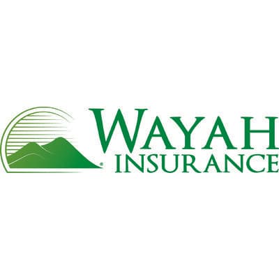 WAYAH INSURANCE GROUP, INC.