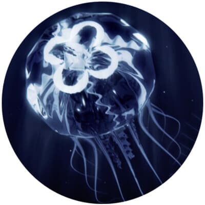 INDEPENDENT CONNECTIONS LLC