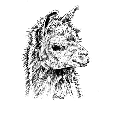 THE INN AT BUTTERMILK FALLS