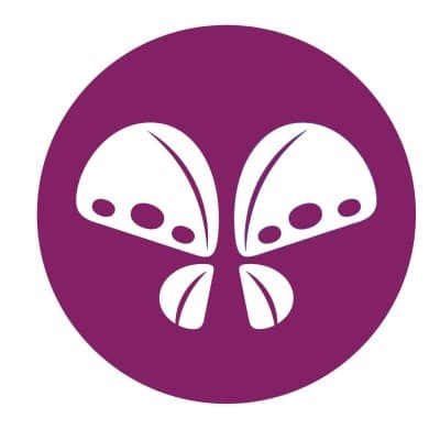 HOSPICE OF FULTON COUNTY INC.