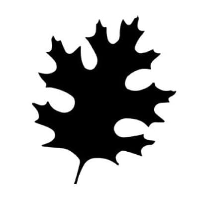 OAK RIDGE COUNTRY CLUB