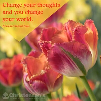 CHRISTENSEN'S PLANT CENTER, INC.