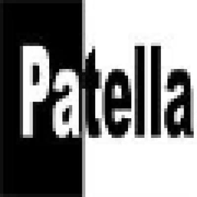 PATELLA CONSTRUCTION CORP