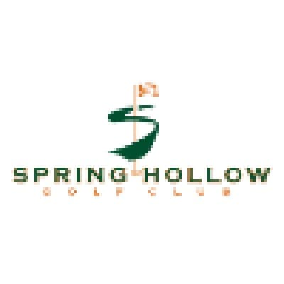 SPRING HOLLOW SERVICES INC