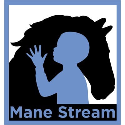 MANE STREAM INC