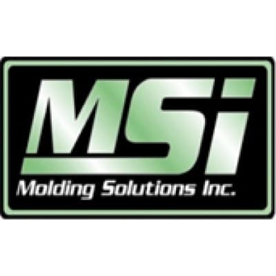 MOLDING SOLUTIONS INC