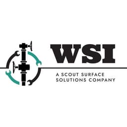 WSI ENTERPRISES, INC.