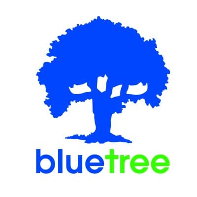 BLUE TREE CASEWORK LLC