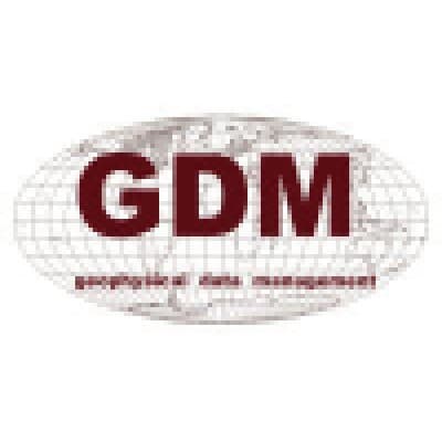 GDMI INC