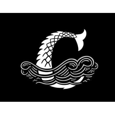 COPPERTAIL BREWING CO LLC 401(K) PROFIT SHARING PLAN AND TRUST