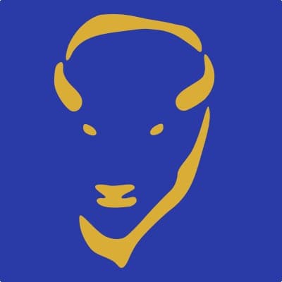 BISON MANAGEMENT SERVICES, LLC