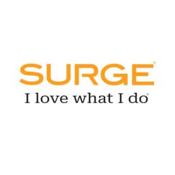 SURGE IO INC