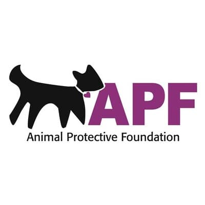 ANIMAL PROTECTIVE FOUNDATION