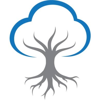 BANYAN MEDICAL SYSTEMS, INC.