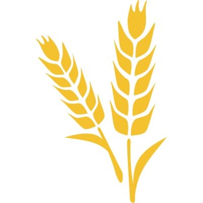 SPINELLI RAVIOLI MANUFACTURING CO., INC.