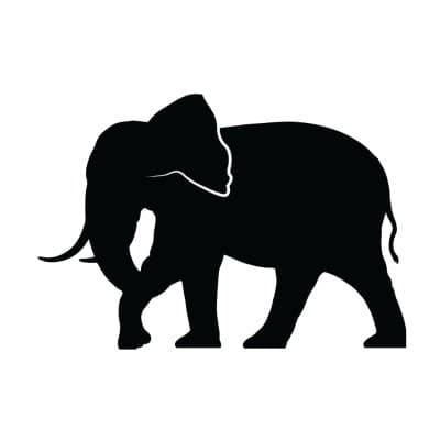 ENDANGERED SPECIES CHOCOLATE LLC