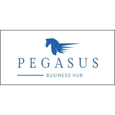 PEGASUS BUSINESS INTELLIGENCE, LP