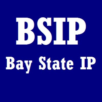 BAY STATE LLC