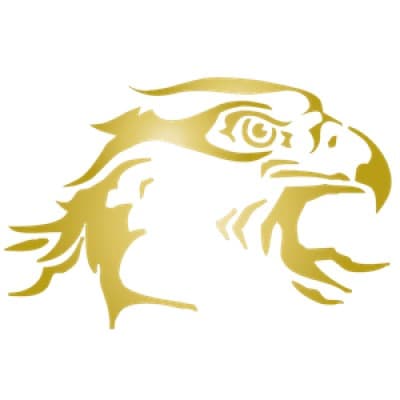 FALCON LAKES GOLF CLUB LLC