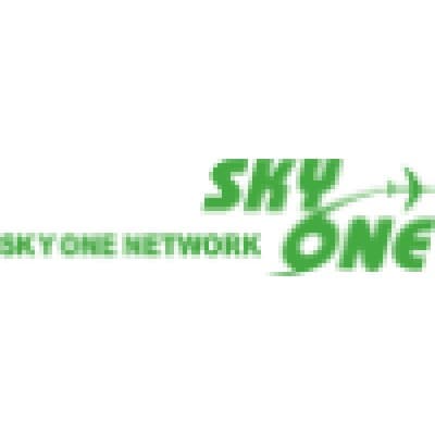 SKY ONE HOLDINGS LLC