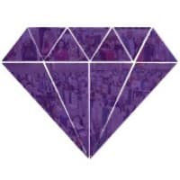 MEETING MANAGEMENT ASSOCIATES