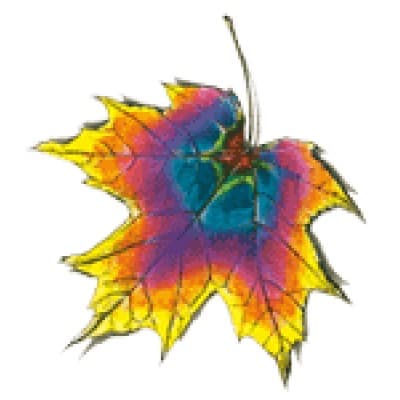 PROFESSIONAL PRINTING CENTER INC